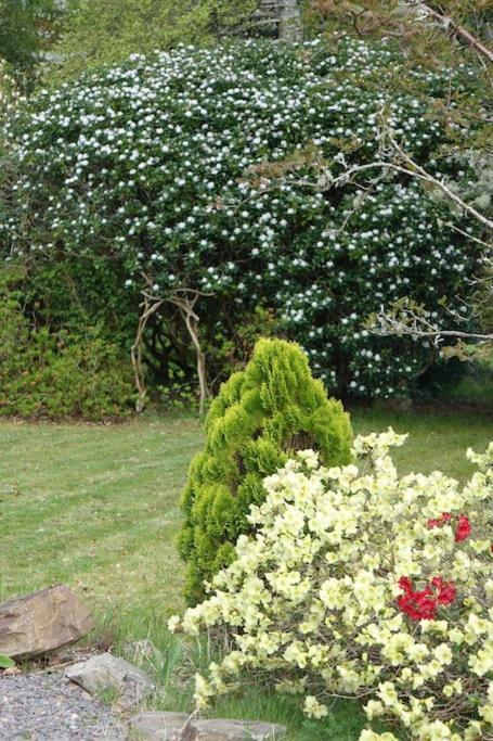 Stylish Scottish Manor, Coillemore House Kyle of Lochalsh Exterior foto